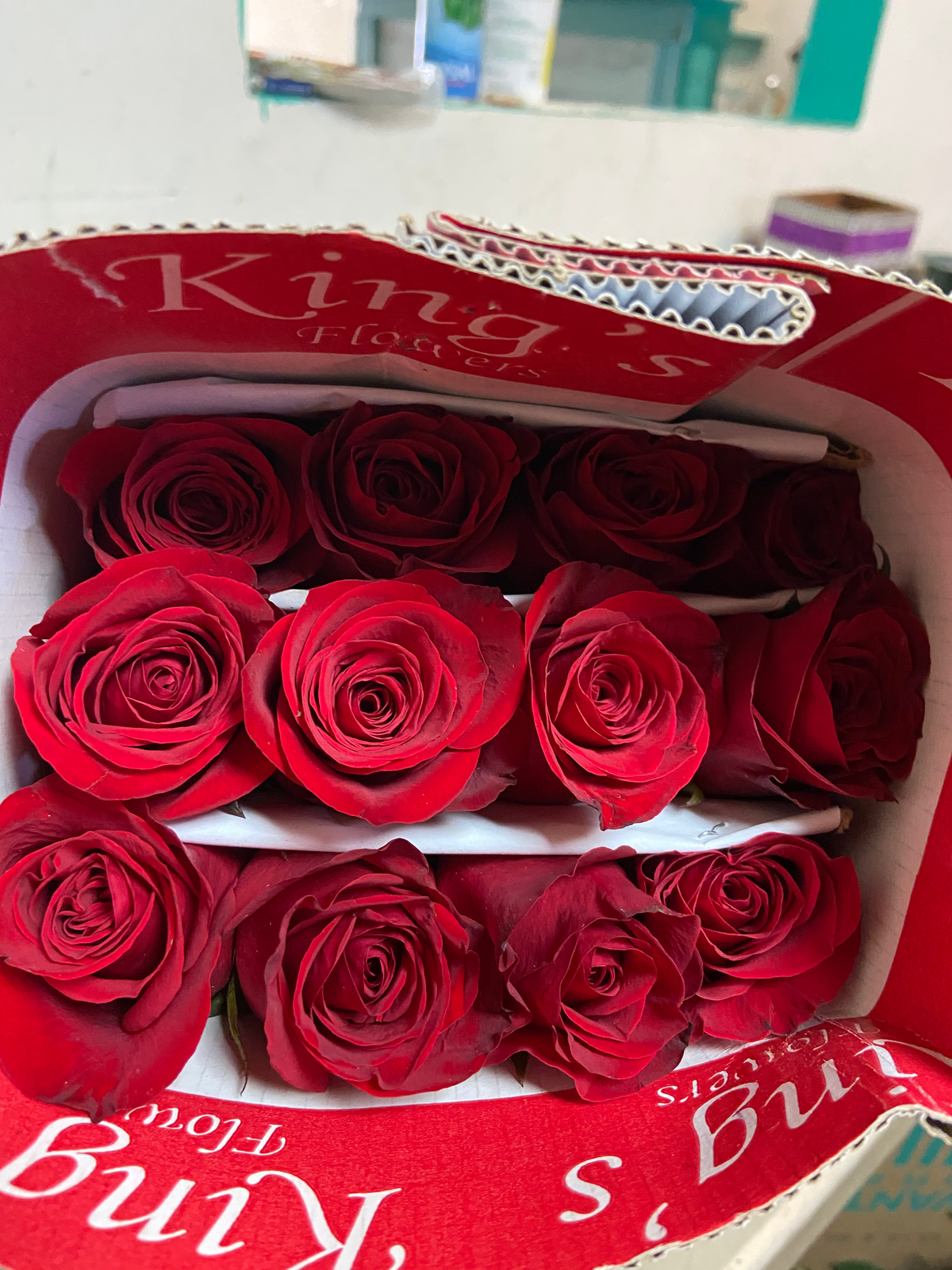 Wholesale Flowers by Bianca's Flowers