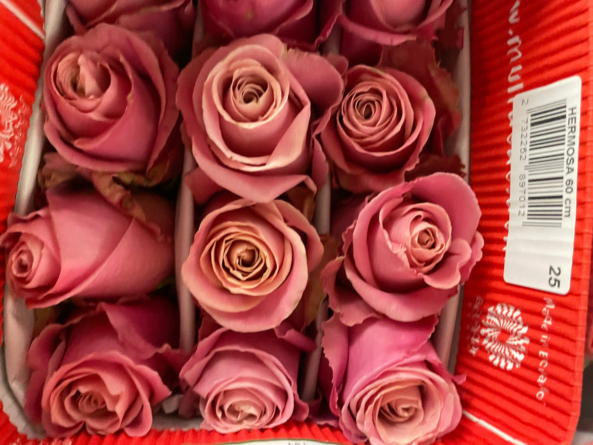 Hermosa by Bianca's Flowers